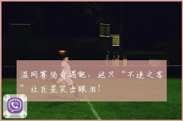 温网赛场奇遇记,这只“不速之客”让巨星笑出眼泪!