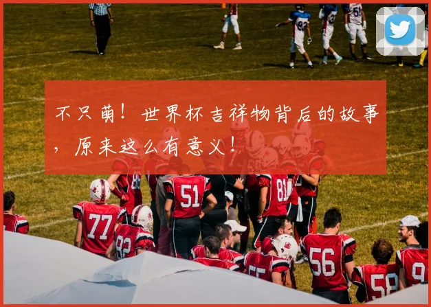 不只萌！世界杯吉祥物背后的故事，原来这么有意义！
