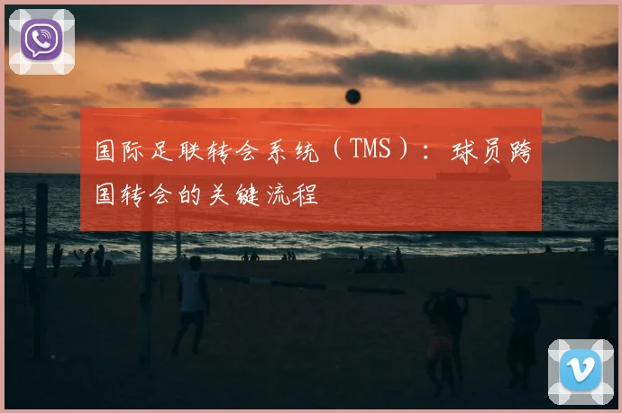 国际足联转会系统(TMS):球员跨国转会的关键流程
