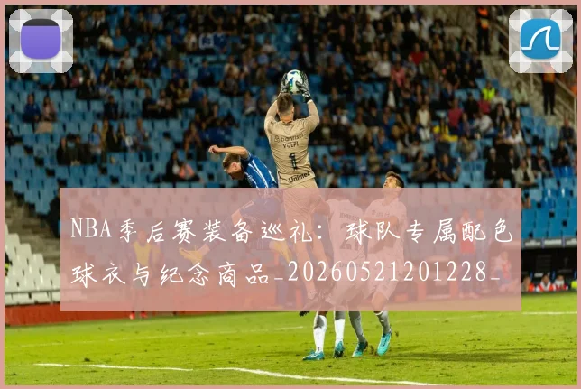 NBA季后赛装备巡礼:球队专属配色球衣与纪念商品_20260521201228_20260702165651