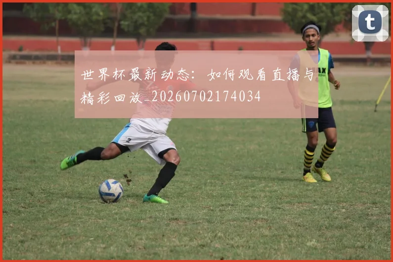 世界杯最新动态：如何观看直播与精彩回放_20260702174034