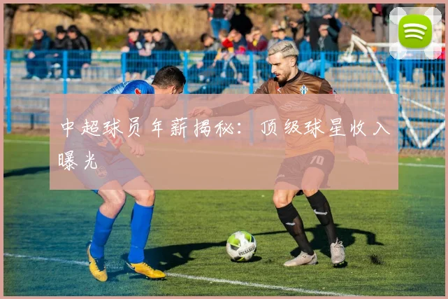 中超球员年薪揭秘：顶级球星收入曝光