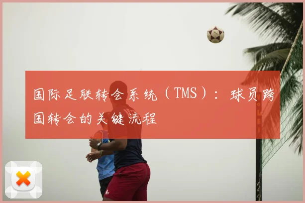 国际足联转会系统(TMS):球员跨国转会的关键流程